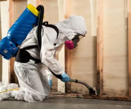 Dista Water Damage Restoration