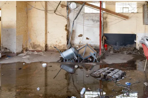 Dista Water Damage Restoration Picture 3