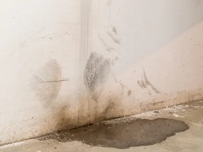 Blue Water Damage Services Picture 1