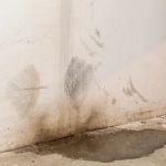 Blue Water Damage Services