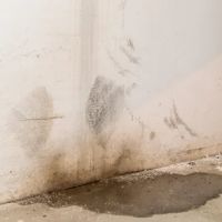 Blue Water Damage Services ico