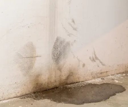 Blue Water Damage Services