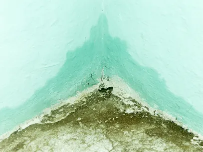 Blue Water Damage Services Picture 4