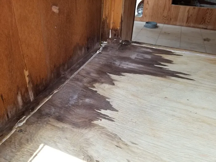 Blue Water Damage Services Picture 2