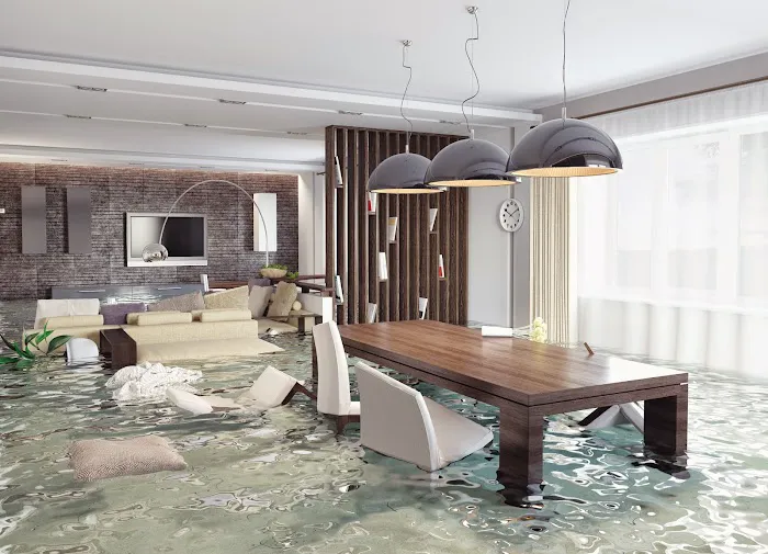 Drymaster Restoration Picture 2