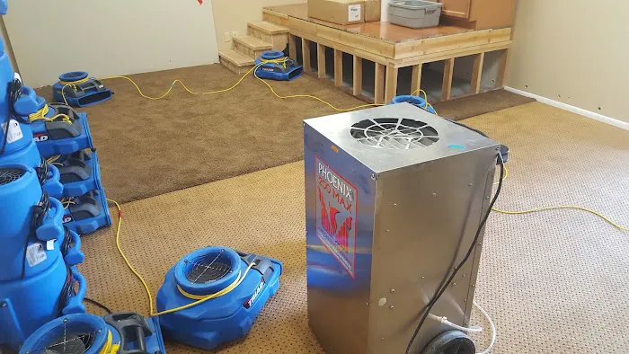 Drymaster Restoration Picture 5