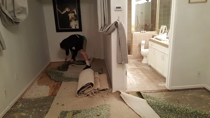 Go Green Restoration Downtown Picture 1