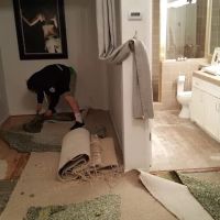 Go Green Restoration Downtown ico