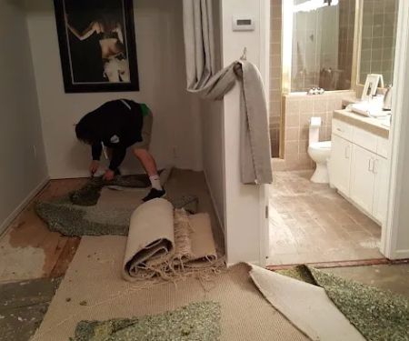 Go Green Restoration Downtown