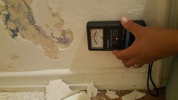 Go Green Restoration Downtown Picture 8