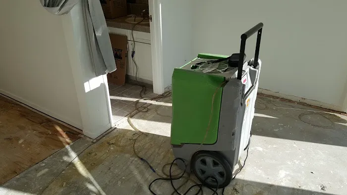 Go Green Restoration Downtown Picture 7