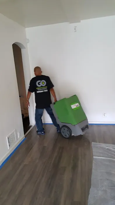 Go Green Restoration Downtown Picture 9