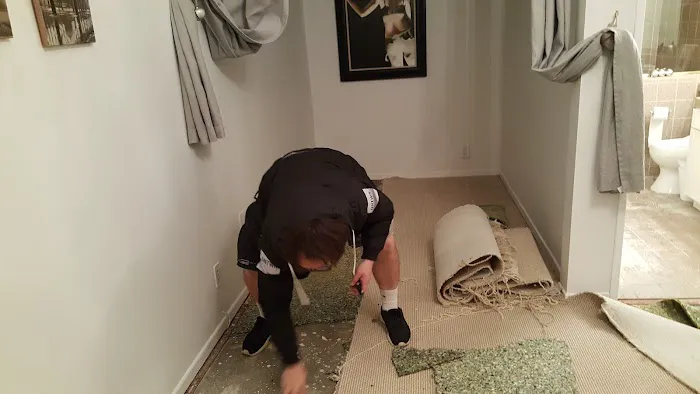 Go Green Restoration Downtown Picture 4