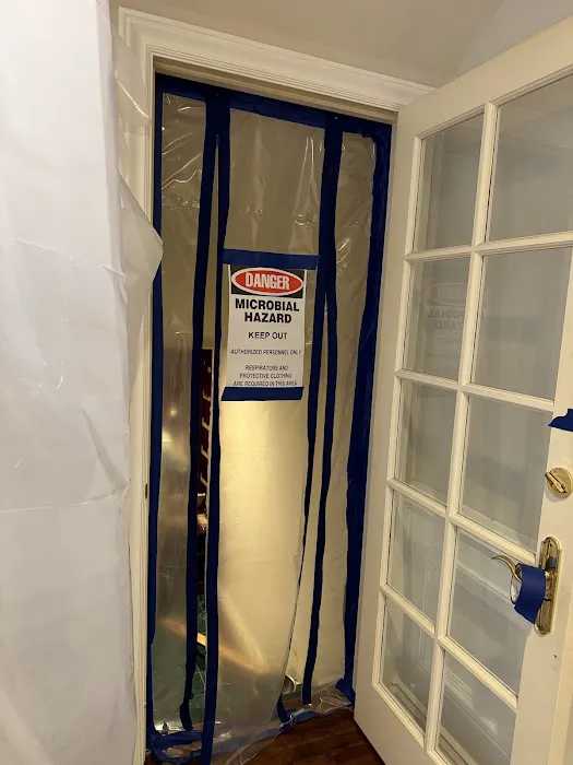 Go Green Restoration Downtown Picture 5