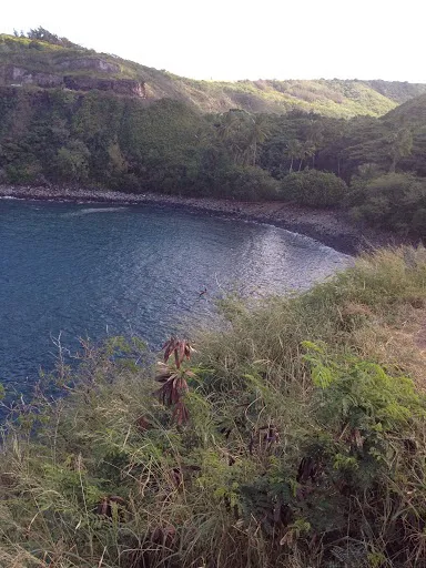 City Water Damage Los Angeles Picture 1