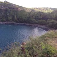 City Water Damage Los Angeles ico