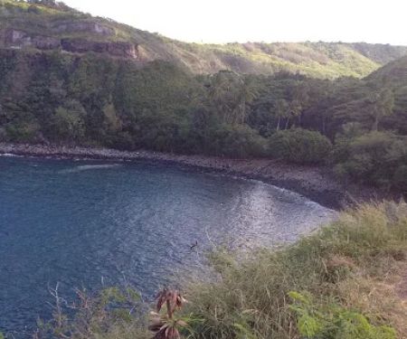 City Water Damage Los Angeles