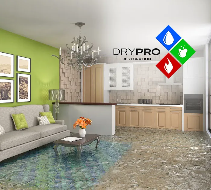 Drypro Picture 8
