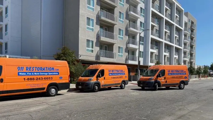 911 Restoration of Central LA Picture 10