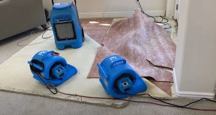 Mr Water Damage Restoration Los Angeles Picture 1