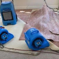 Mr Water Damage Restoration Los Angeles ico