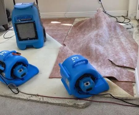 Mr Water Damage Restoration Los Angeles