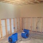 Wise Tools Water Damage Clean Up and Mold Remediation