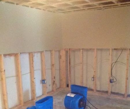 Wise Tools Water Damage Clean Up and Mold Remediation