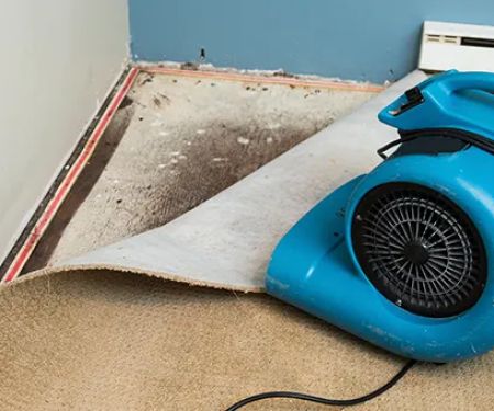 Fastdry Water Damage Restoration