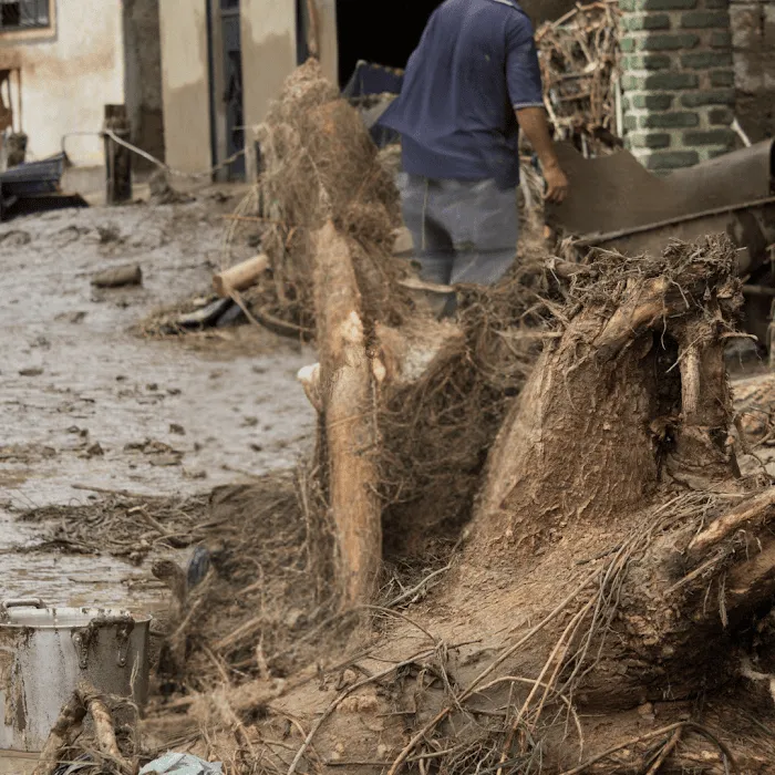Rapid Response Restoration of Pasadena Picture 10