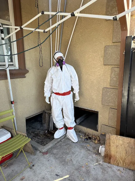 Rapid Response Restoration of Pasadena Picture 1