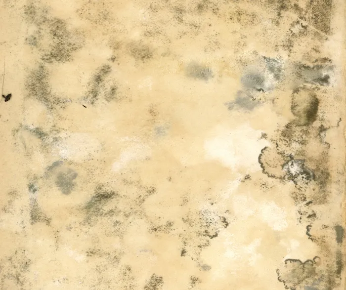 Skynet Restoration Picture 2