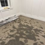 Paul Davis of Los Angeles Downtown / Hollywood