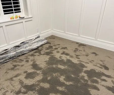 Paul Davis of Los Angeles Downtown / Hollywood