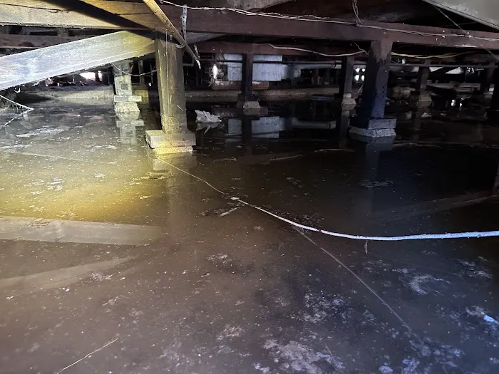 Paul Davis of Los Angeles Downtown / Hollywood Picture 6