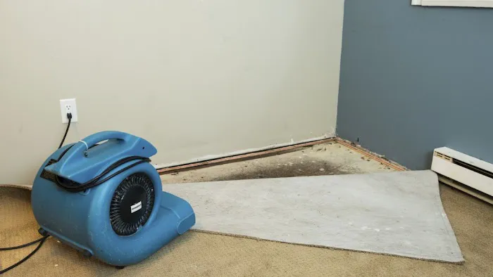 Pro Technique Water Damage Remediation and Mold Removal Picture 10