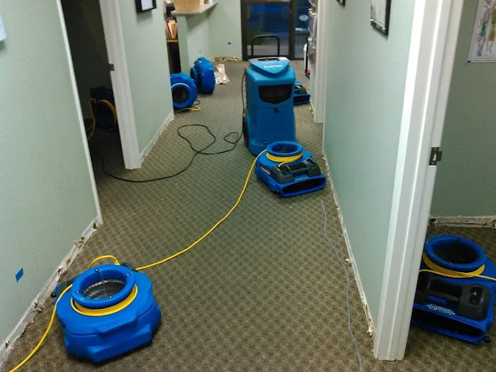 Pro Technique Water Damage Remediation and Mold Removal Picture 6