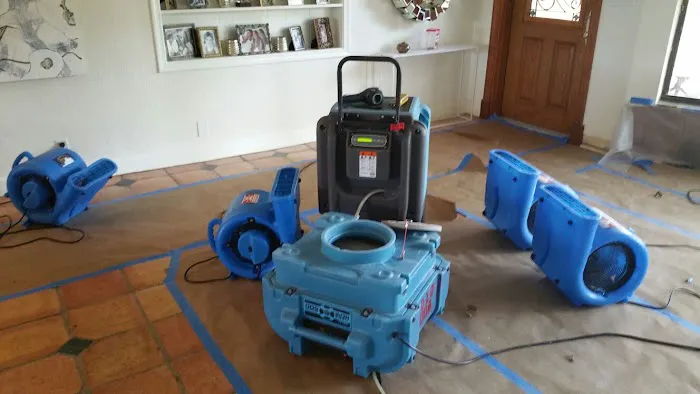 Pro Technique Water Damage Remediation and Mold Removal Picture 2