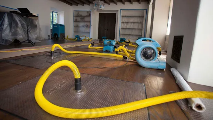 Pro Technique Water Damage Remediation and Mold Removal Picture 1