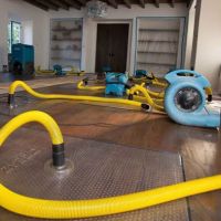 Pro Technique Water Damage Remediation and Mold Removal ico