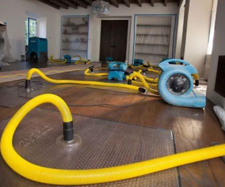 Pro Technique Water Damage Remediation and Mold Removal