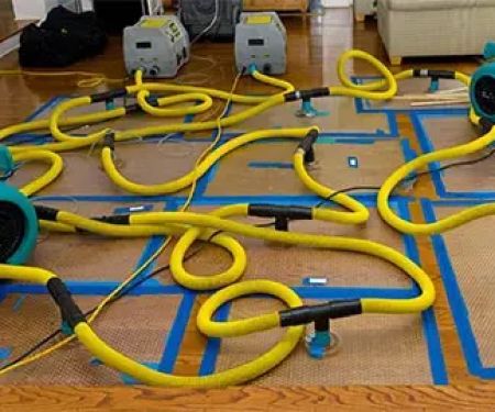 Elite Water Damage Services