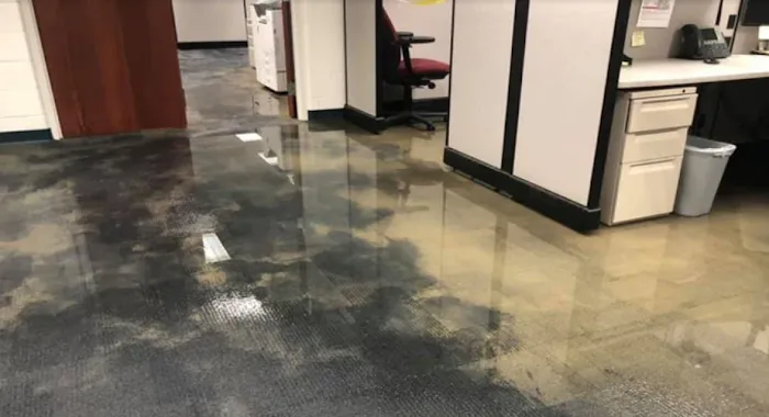 Elite Water Damage Services Picture 3