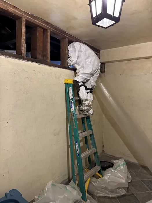 Water Damage Restoration Downey Picture 5