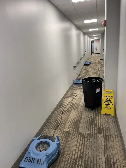 Gold Star Restoration Picture 4