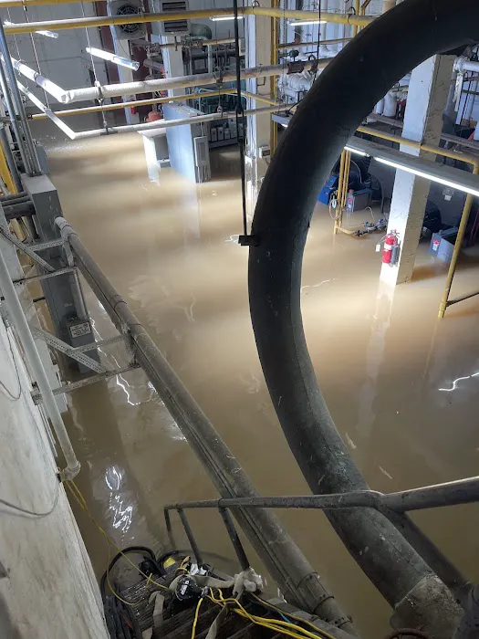 Gold Star Restoration Picture 3