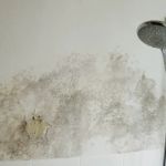 Renagade Water Damage Express