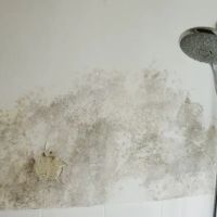 Renagade Water Damage Express ico