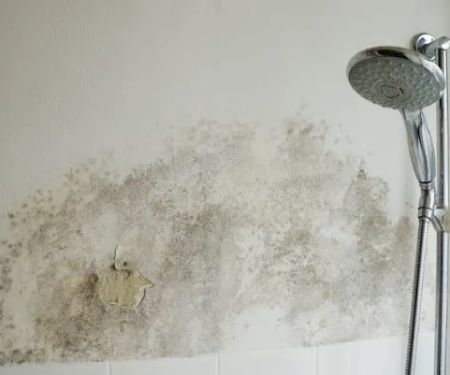 Renagade Water Damage Express