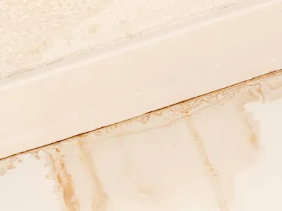 Renagade Water Damage Express Picture 2